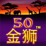 RTP joker solidplay99